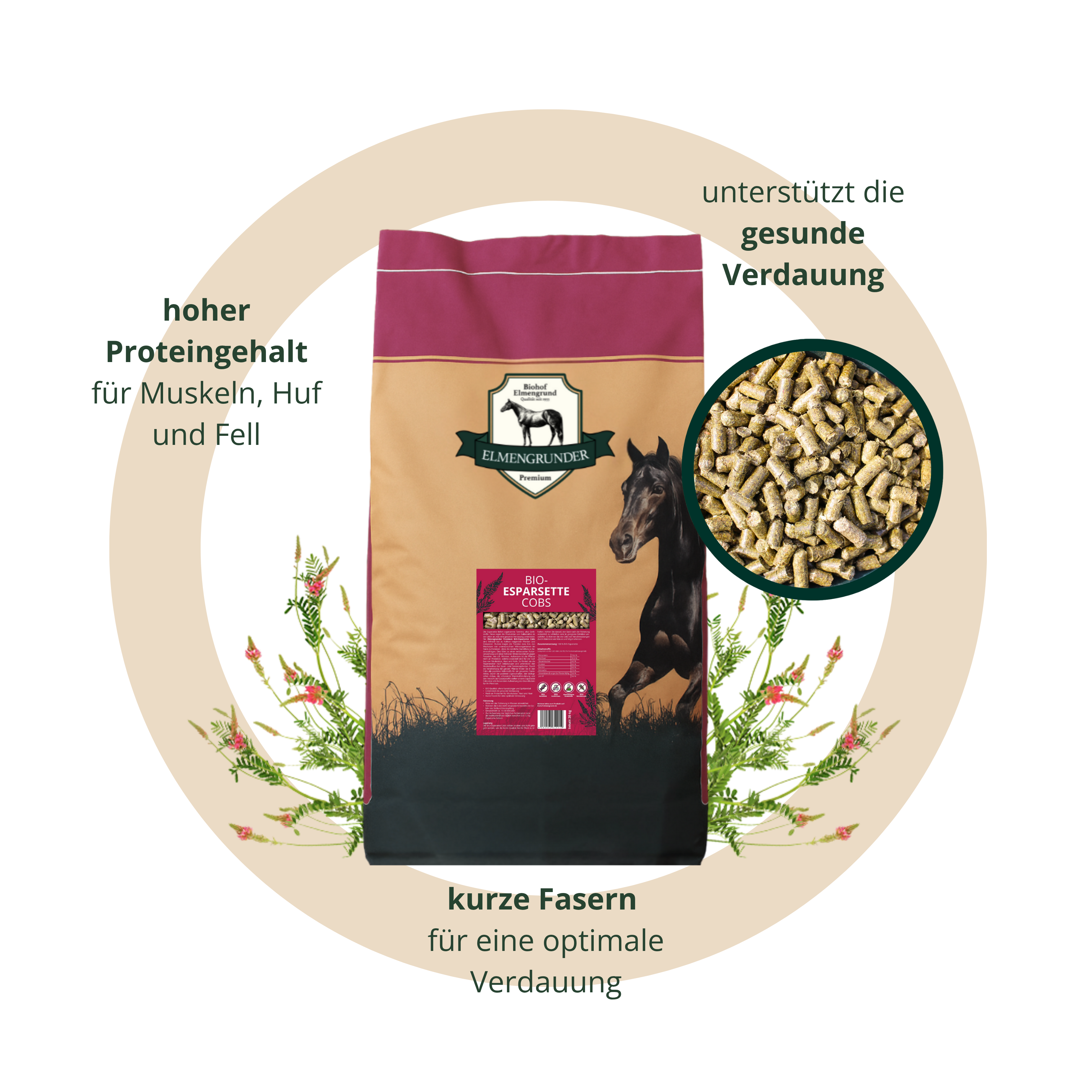 BIO Esparsette-Cobs (20kg)