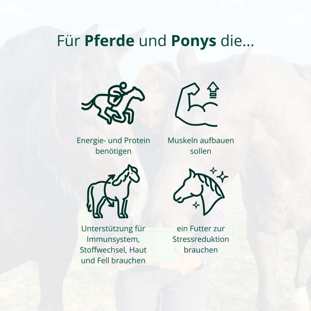 BIO Hanfcobs (4kg)