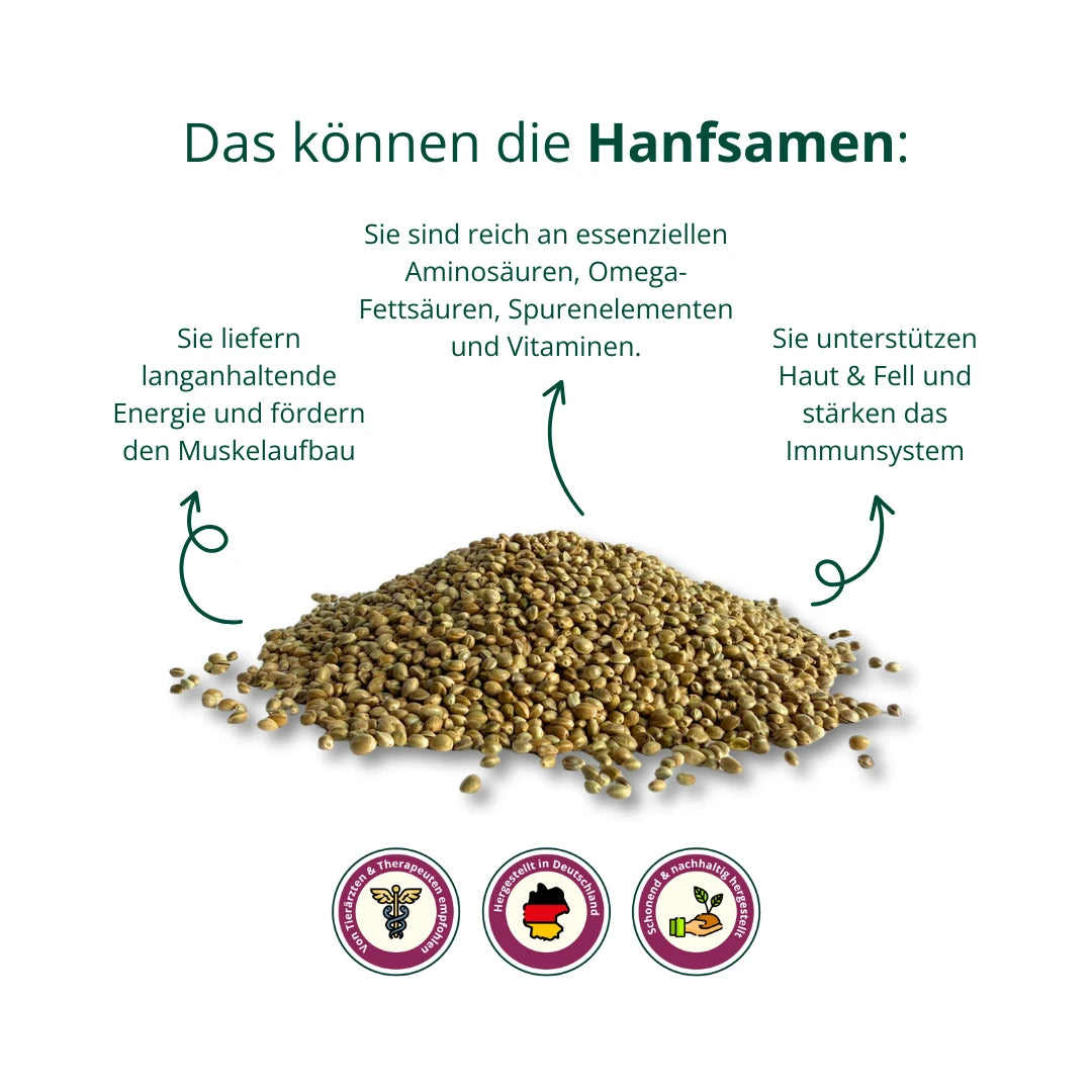 BIO Hanfsamen