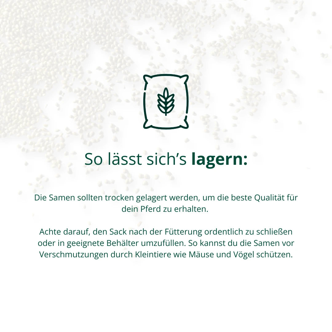 BIO Hanfsamen