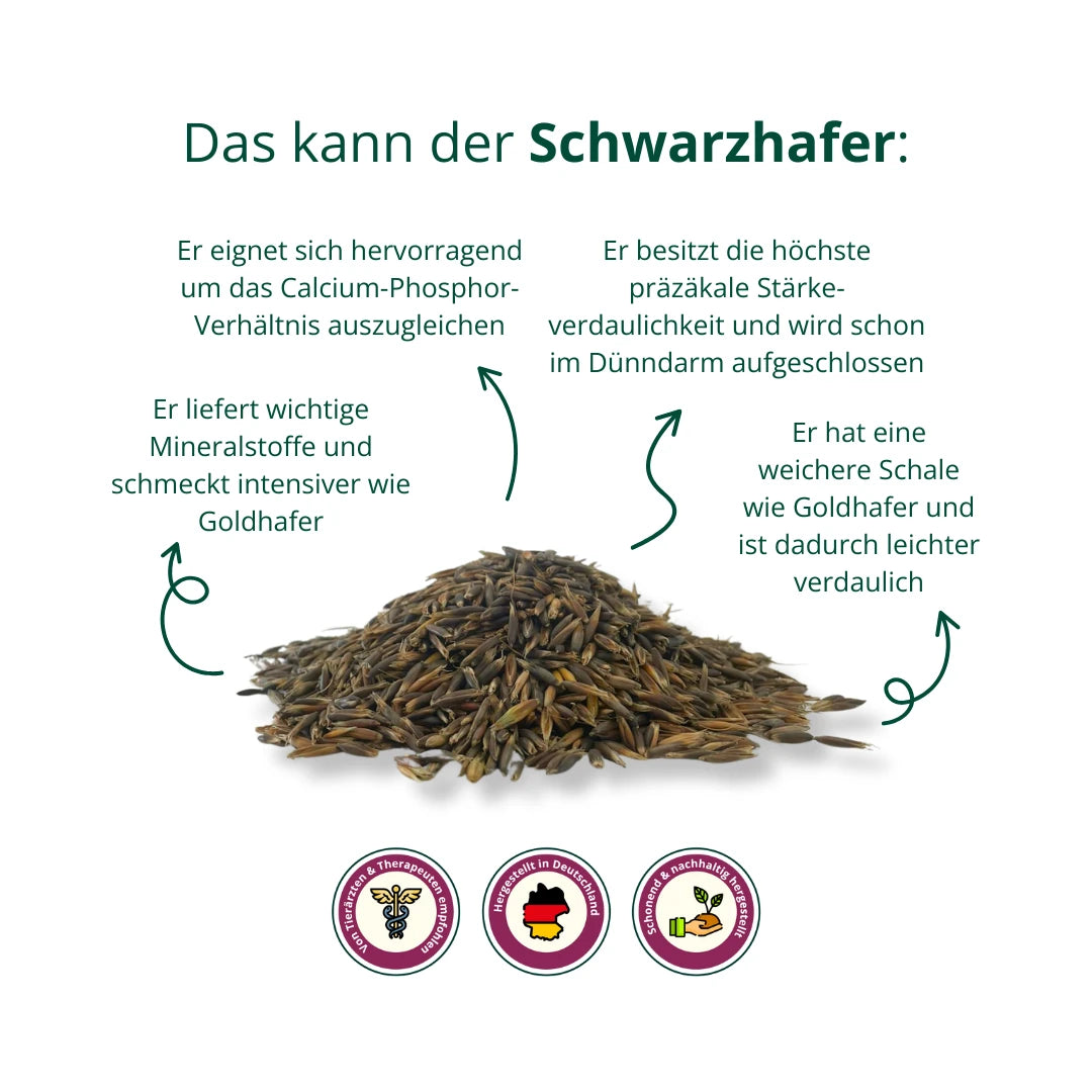 BIO Schwarzhafer