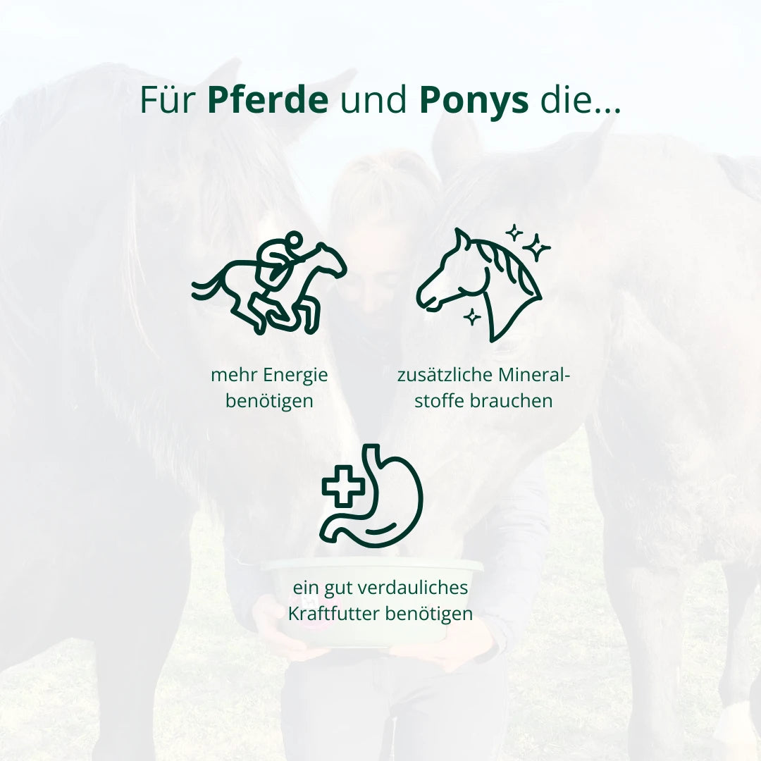 BIO Schwarzhafer