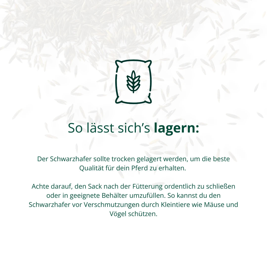 BIO Schwarzhafer