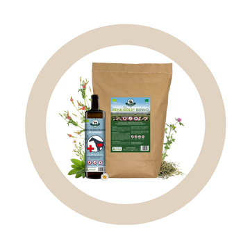 Bundle "Durchatmen"