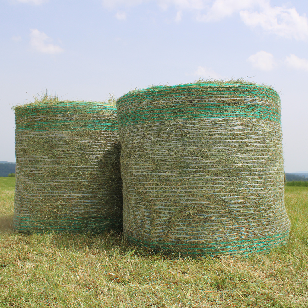 BIO Kräuter-Heu Rundballen (ca. 250 kg)