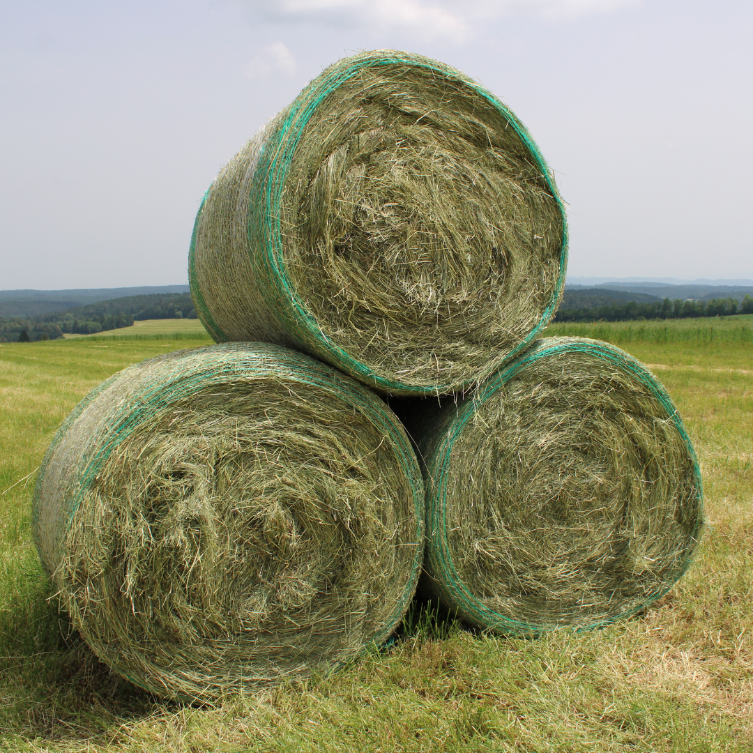 BIO Kräuter-Heu Rundballen (ca. 250 kg)