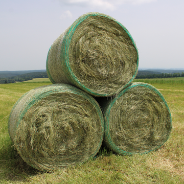 BIO Kräuter-Heu Rundballen (ca. 250 kg)