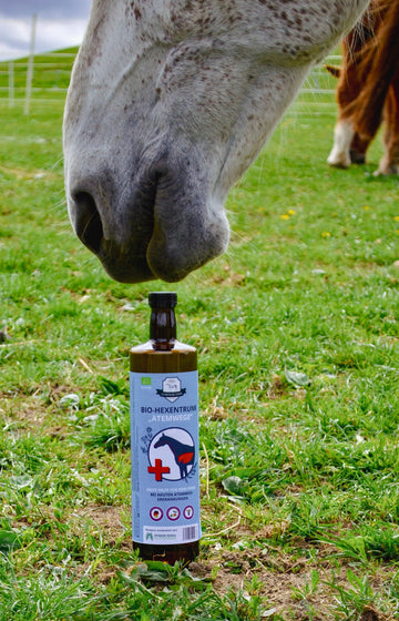 Pferdekur BIO