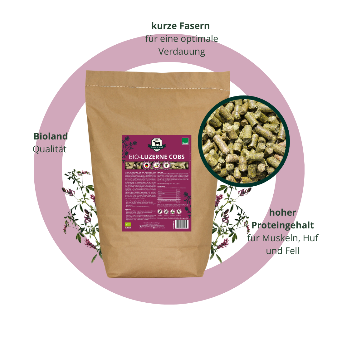 BIO Luzerne Cobs Futterprobe (4 kg)