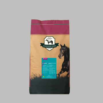 Kraft &amp; <sup>Kraut</sup>