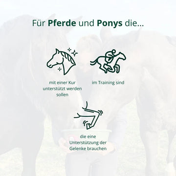 BIO Spezial-Cobs Bewegung