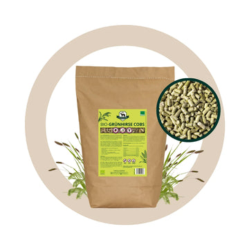 BIO Grünhirse