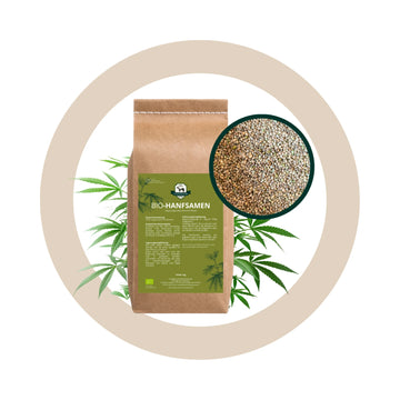 BIO Hanfsamen