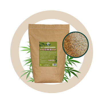 BIO Hanfsamen