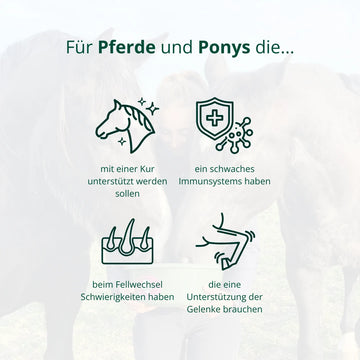 BIO Brennnessel-Granulat