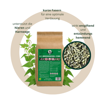 Brennnessel_1kg (1).webp__PID:7bad5e0e-22c0-427e-a788-02b517506fee