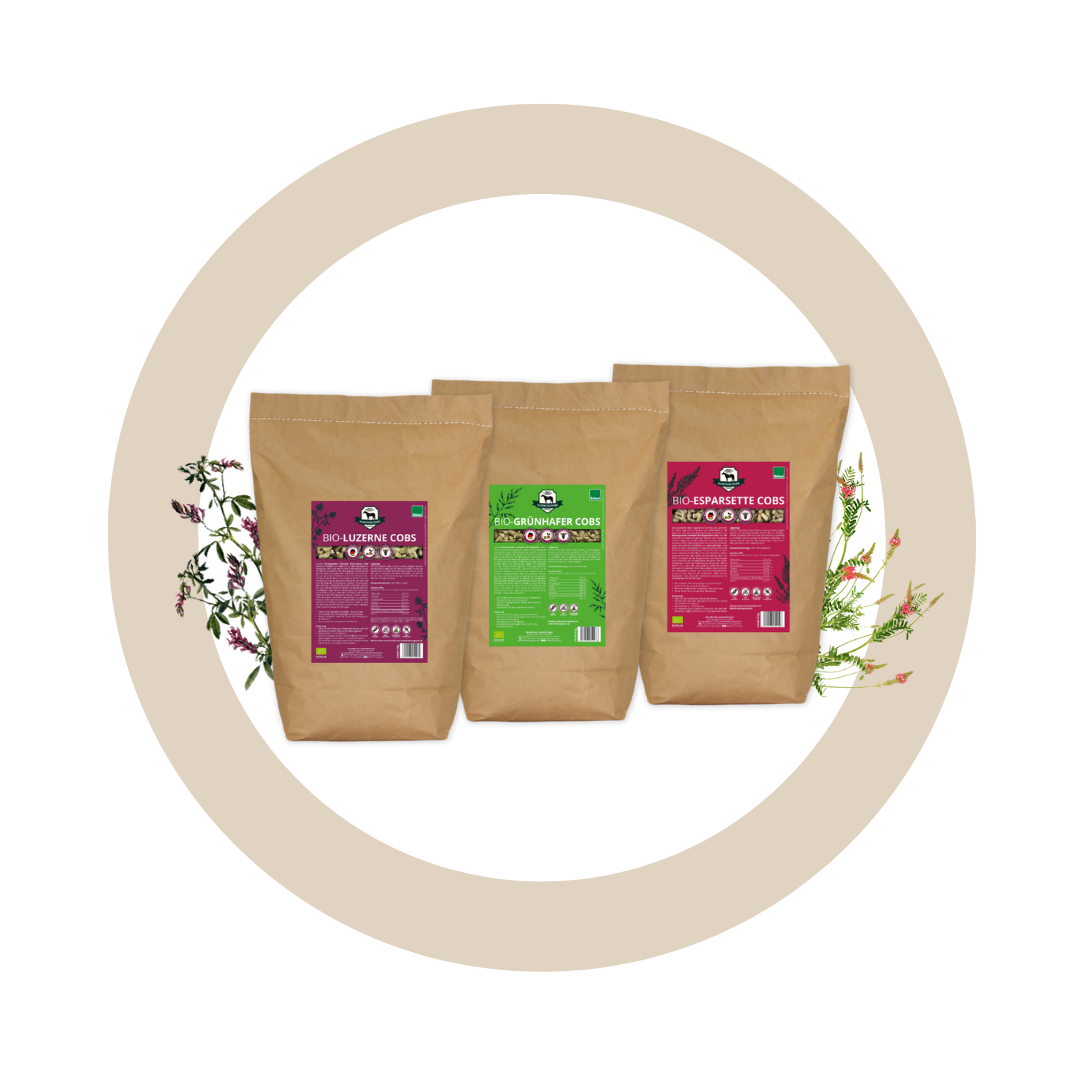 Bundle "Protein-Power"