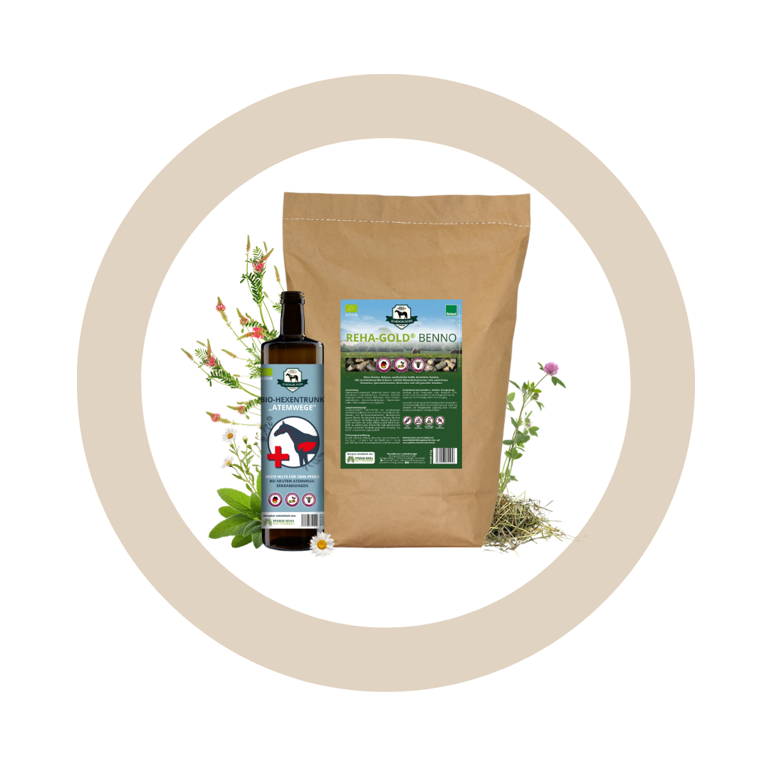Bundle "Durchatmen"