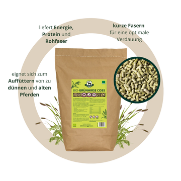 BIO Grünhirse