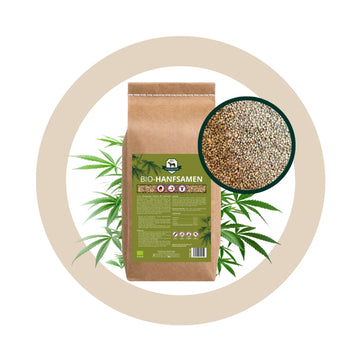 BIO Hanfsamen