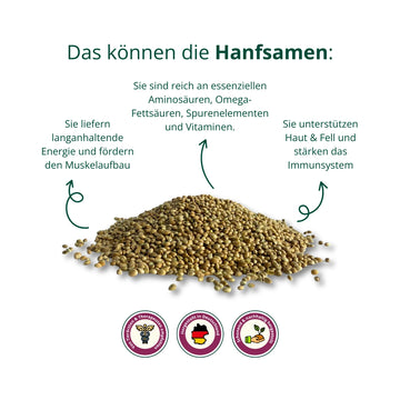 BIO Hanfsamen