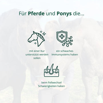 BIO Spezial-Cobs Immunsystem (5 kg)