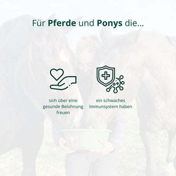 BIO Kräuter-Leckerli (1 kg)