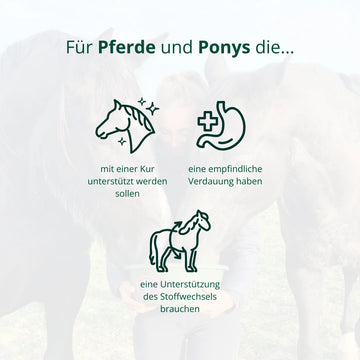 BIO Spezial-Cobs Verdauung