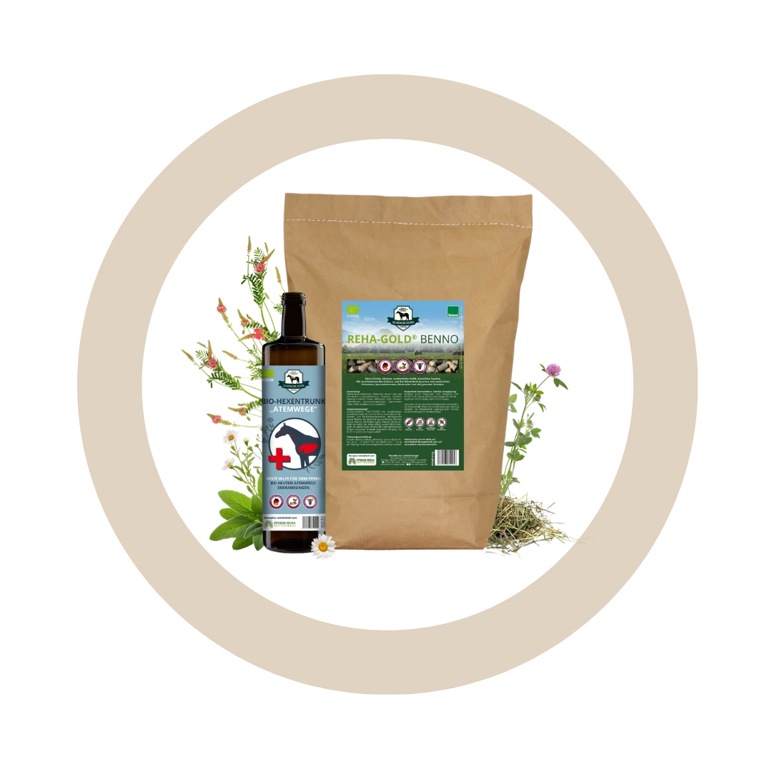 Bundle "Durchatmen"