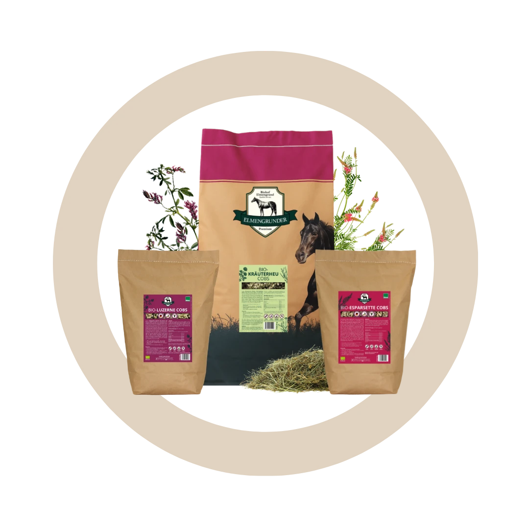 Bundle "Basic"
