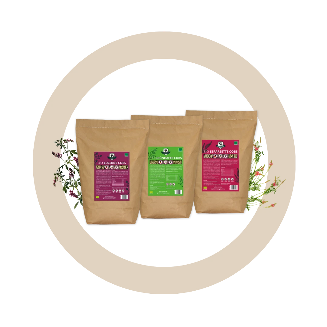 Bundle "Protein-Power"