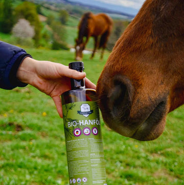 BIO Hanföl (1L)