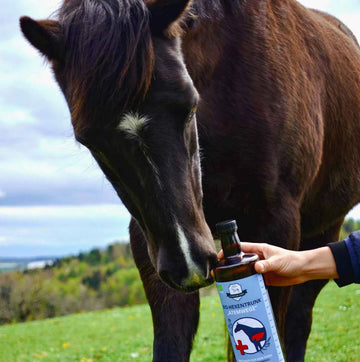 BIO Hexentrunk "Atemwege" (1L)