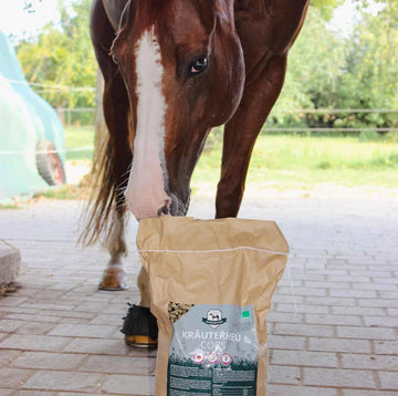 BIO Kräuter-Heucobs