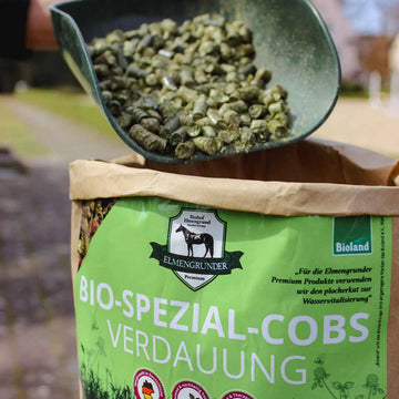 BIO Spezial-Cobs Verdauung